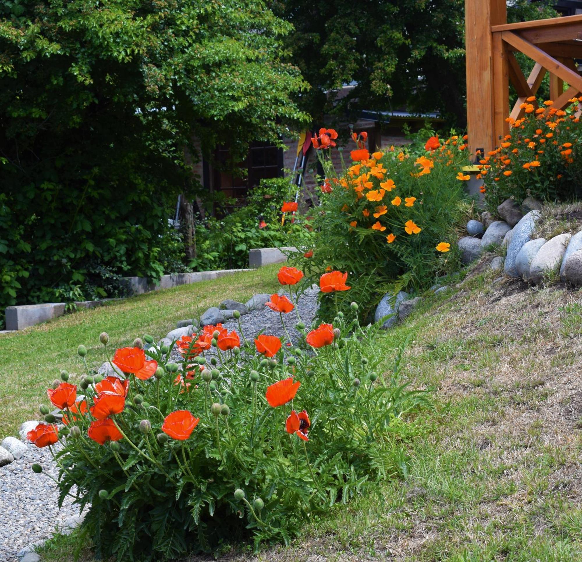 Appartamento Andalue San Carlos de Bariloche Esterno foto